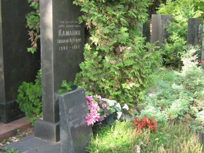 Могила - Каманин Николай Петрович (1908-1982), Герой Советского Союза