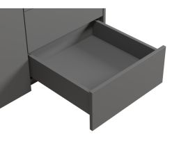 Распашной шкаф Изи 2-100x220 Графитовый