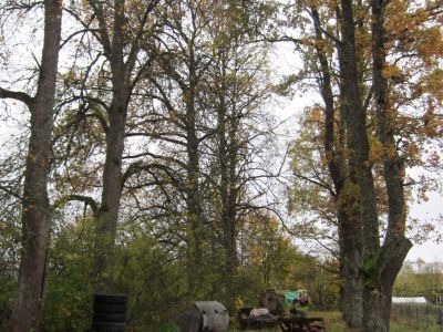 Усадьба загородная Дружининых