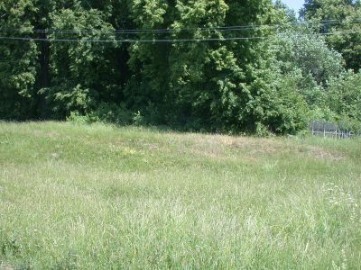 Парк усадьбы Криворотова, около 1885 г.