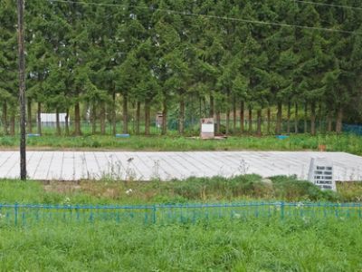 Братское захоронение советских воинов, погибших в 1941-1944 гг.