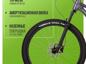 Горный велосипед Atom Bion Seven 50, год 2024, цвет Серый, ростовка 13.5