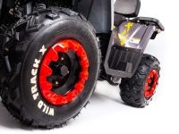 Квадроцикл MOTOLAND 200 Wild Track X Pro (2022)