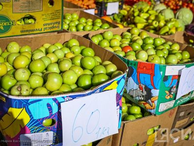 Лекции о пользе овощей и фруктов проведут в Якутске