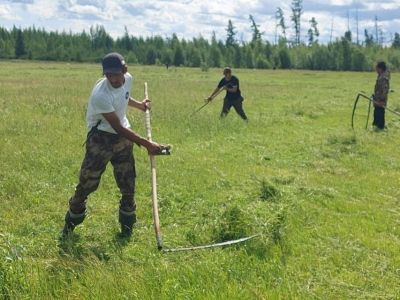 В Якутии главам районов поставлена задача максимального освоения сенокосных угодий