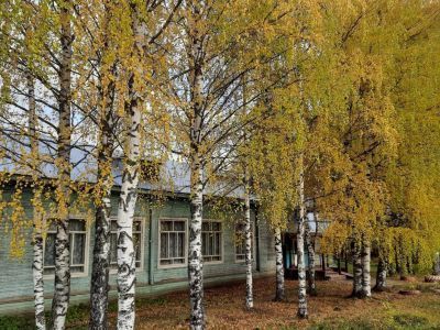 Алексеевская библиотека