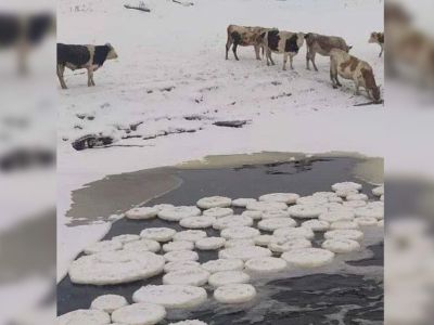 Ледяные блины появились на реке в Якутии. О явлении рассказал ученый
