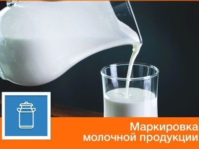 Прямая линия для участников оборота молочной продукции
