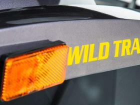 Квадроцикл MOTOLAND 200 Wild Track X Pro (2022)