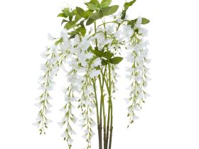 Цветок Ostra I