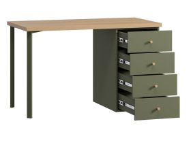 Письменный стол Стэйс 120x60 Оливковый