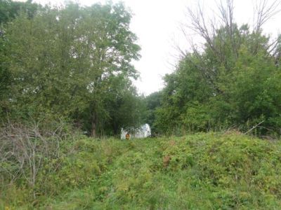 Парк усадьбы "Дубровка" пейзажной планировки