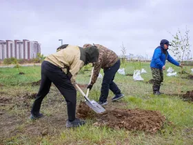Саженцы ели и берёзы посадили в Парке Победы Якутска