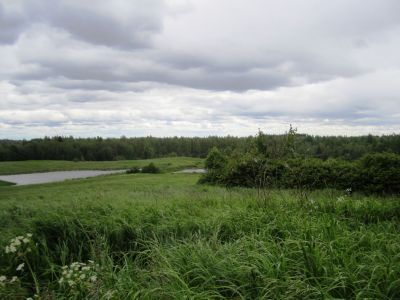 Усадебный парк