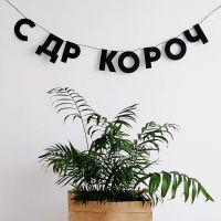 Гирлянда "С ДР КОРОЧ"