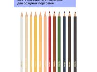 Набор карандашей цветных Гамма "Хобби. Портрет" 12 цв.,заточен., ПВХ, европодвес