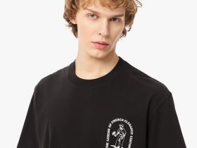 Мужская хлопковая футболка Lacoste