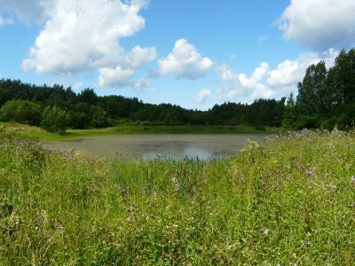 Пруд Саперный (с островом) со шлюзом и каналом