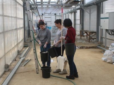 Сотрудники АЭБ провели субботник на территории тепличного комплекса «Саюри»