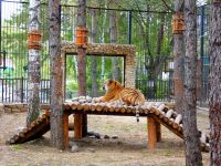 Государственный Большереченский зоопарк имени В.Д. Соломатина