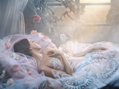 Спящая красавица