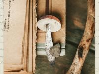 Деревянная брошка Дворникова А. "Подосиновик с листиком"