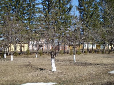 Фруктовый сад, заложенный в 1962 году в честь полета А.Г. Николаева на космическом корабле "Восток-3"