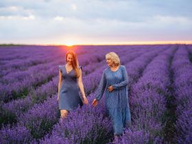 Фотосессия в Провансе