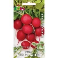 Редис Краса Алтая (Сибирская серия)