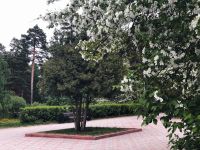 Центральный парк культуры и отдыха им. Ю. А. Гагарина