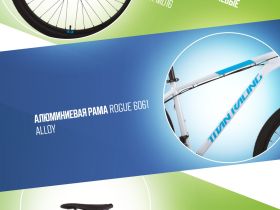 Горный велосипед Titan Racing Rogue Alpine, год 2024, цвет Серый, ростовка 15