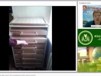 Развитие познавательной сферы у детей с ОВЗ в индивидуальной работе педагога-психолога