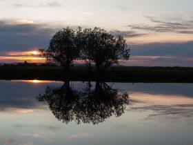 По реке Лена. Техтюр-Якутск (202 мкр)