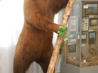 Пензенский государственный краеведческий музей