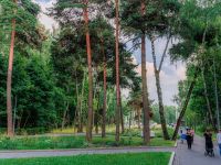 Парк культуры и отдыха «Кузьминки»