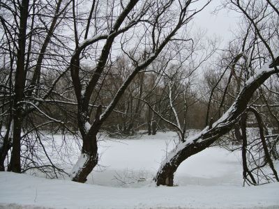 Усадьба "Щербинка"