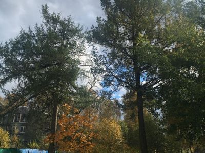 б. Лютеранская церковь