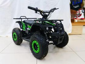 Электроквадроцикл MOTAX Grizlik X16 New E1000