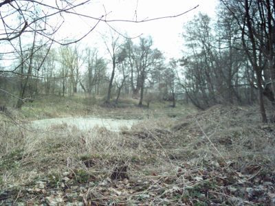 Парк «Морозовка»