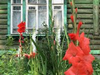 Дача Струковых