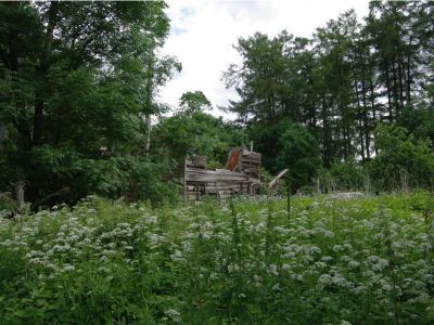 Дом управляющего