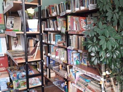 Поселенческая библиотека села Речица
