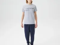 Мужская футболка Lacoste стандартного кроя