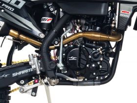 Мотоцикл кроссовый эндуро SHARMAX Expert 300