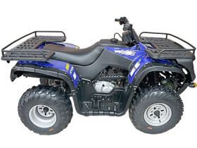 Квадроцикл ARMADA ATV 250L