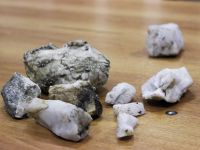 Геологический и зоологический музеи музейно-выставочного комплекса Державинского университета