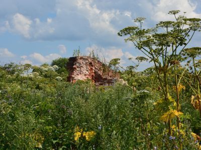 Конный двор с каретным сараем