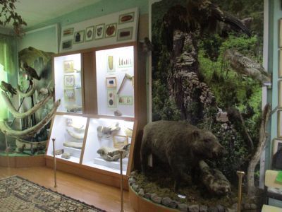 Приаргунский историко-художественный музей