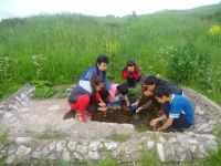 Сухояшская сельская библиотека