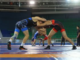 Определены финалисты всероссийского турнира по вольной борьбе Александра Крылова